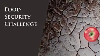 Food Security Challenge