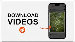 How To Download Videos from Reddit?