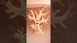 Antifungal Awareness