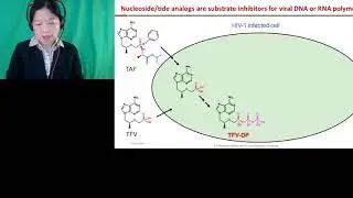 Mechanism-based Off-target Screening De-risks Clinical Development of Antiviral Nucleoside/tide...