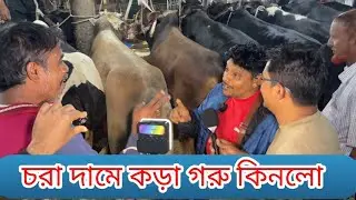 আকরাম ভাই চড়া দাম করা গরু কিনল আজ সালিশ করল মঞ্জু ব্যাপারী গাবতলী গরুর হাট #গরুর_দাম_২০২৬ 