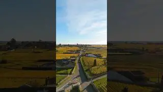 Perfect Day Exploring Bordeaux Wine Region by Bike: Saint-&Eacute;milion E-Bike Tour + Picnic