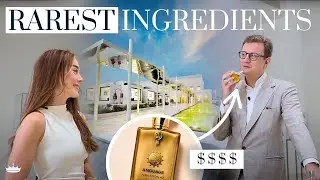 Экскурсия по фабрике ароматов Amouage в Омане 🇴🇲
