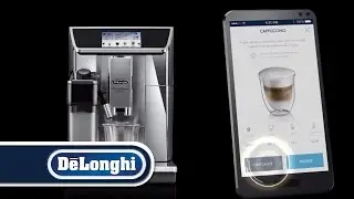 De'Longhi PrimaDonna Elite  ECAM650.75.MS- Machine &agrave; Caf&eacute; Automatique &ndash; Belgique