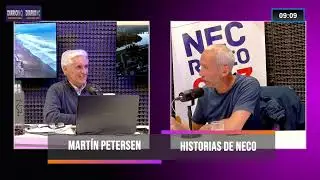 MART&Iacute;N PETERSEN Profesor e Historiador