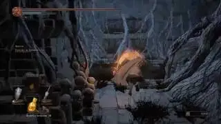Dark Souls III Цориг оригинал и фантом