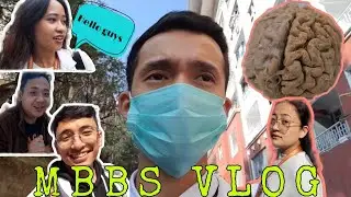 MBBS VLOG | Anatomy dissection hall | Friends, fun, studies, hostel