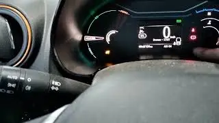 Dacia Spring 2022 Service reset..
