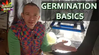 Germination Setup Explained | Environment, Temperature & Humidity Basics