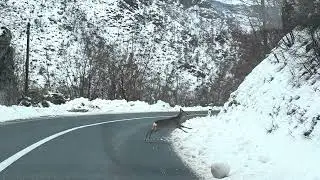 Dok Bosna bijeli, Hercegovina se zeleni	