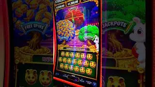 a Fortune Frenzy bonus.. x2! #slots #casino #gambling #lasvegas