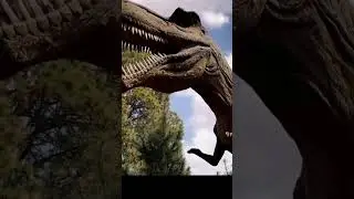 dinosaur movie, triceratops dinosaur @timelesstalesanim #dianosaur #shortsfeed #animalshorts