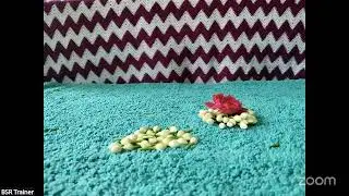 Flower Veni  Making | Class-11 | BSR edu-designers