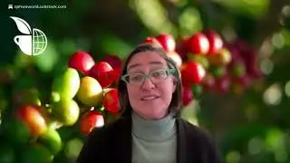 WCR CEO Reviews 2025 Achievements in Coffee Innovation