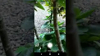 Pixel visual Core instagram