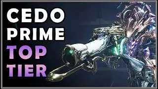 How good is the CEDO PRIME?... Cedo vs Lvl 10,000 | Warframe