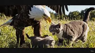 Eagle Protects Cat Baby/SMART FRAME AI