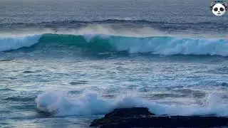 Relaxing Music with Beautiful Nature - Peaceful Music by Relaxing panda