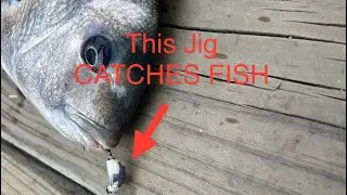 This JIG and a TINY CRAB can’t be beat!! (Ocean Springs, MS Sheepshead Fishing)