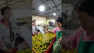 กาดต้นแหน2568