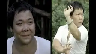 Ng Ming-Choi 吴明才 (Yuen Ting 元庭) - Classical Hung Gar never looked so good on the Silver Screen!