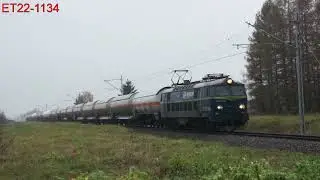 Grzebowilk: Silva i nie tylko - pociągi towarowe na LK nr 13 (#009)