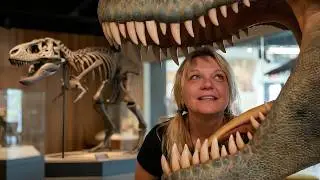 I Hung Out With the Biggest T.Rex in the World!