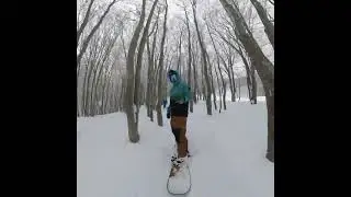 @ Aomori Spring Ski Resort