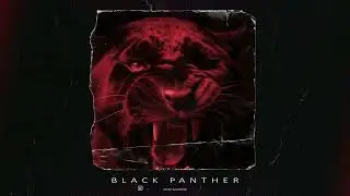 FREE Instru Rap x Trap Dark Type Beat Black Panther 148Bpm Dmin 2026