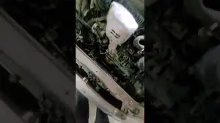 easy radiator