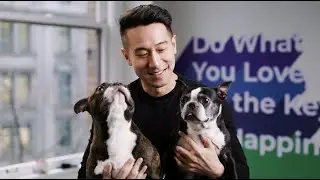 Push Careers | Helping you do what you love