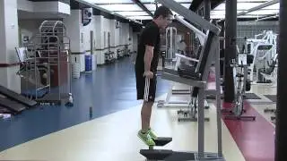 Dips Tutorial