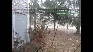 Backyard Live Stream2025-12-26