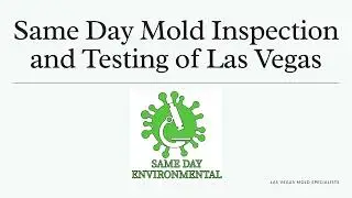 Mold Testing in Las Vegas, NV