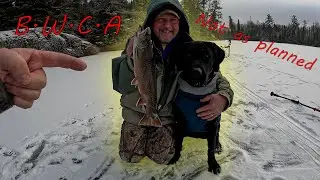 BWCA Brook trout! (NOT GOOD)