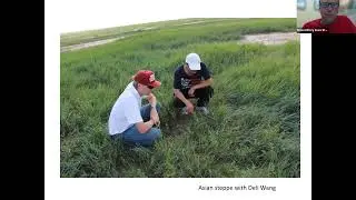 Impact of Climate Change on Native Tall Grass Prairies