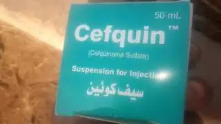 Cefquin injection / Use of Cefquin injection / janwru main sardi ka ilaj / Abdullah Jutt /