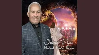 INDESTRUCTIBLE