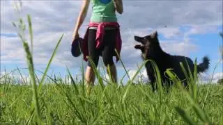Dogfrisbee time with Cuile &hearts;