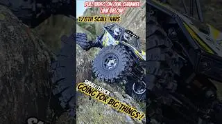 Small Truck Going For Big Things #axial #axialcapra #rc #crawler #rctruck #4ws #bestrccar #rcbasher