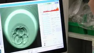EmbryoScope supports improved clinical outcome