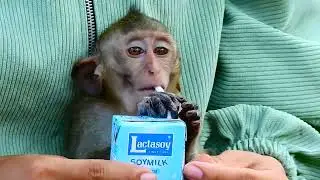 Angela's Mom Giving Milk Box for Comfort Tiny D-awn To Drink Don't Hungry & Thirsty