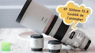 CANON EF 300mm f2.8 L IS ii - TROP SOUVENT OUBLI&Eacute; EN ANIMALIER !!