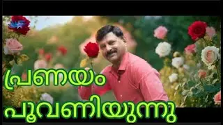 AMAARA MY LOVE
