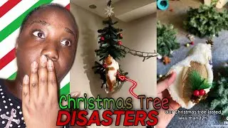 🎄🐈Christmas Tree DISASTERS Cat Edition - Reaction