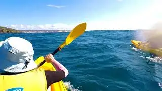 Rainbow Beach - Epic Ocean Adventures