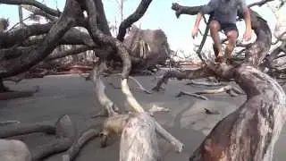 Boneyard Playground