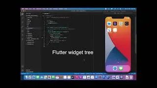 Flutter (2.0v)   main screen setup and widget tree