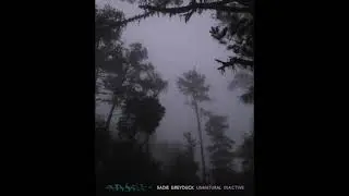 Sadie Greyduck - Unnatural Inactive (2022) 2: home is a shell vast and comfortless [ambient]