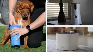 10 Amazing Pet Toys & Gadgets That Are Worth Buying